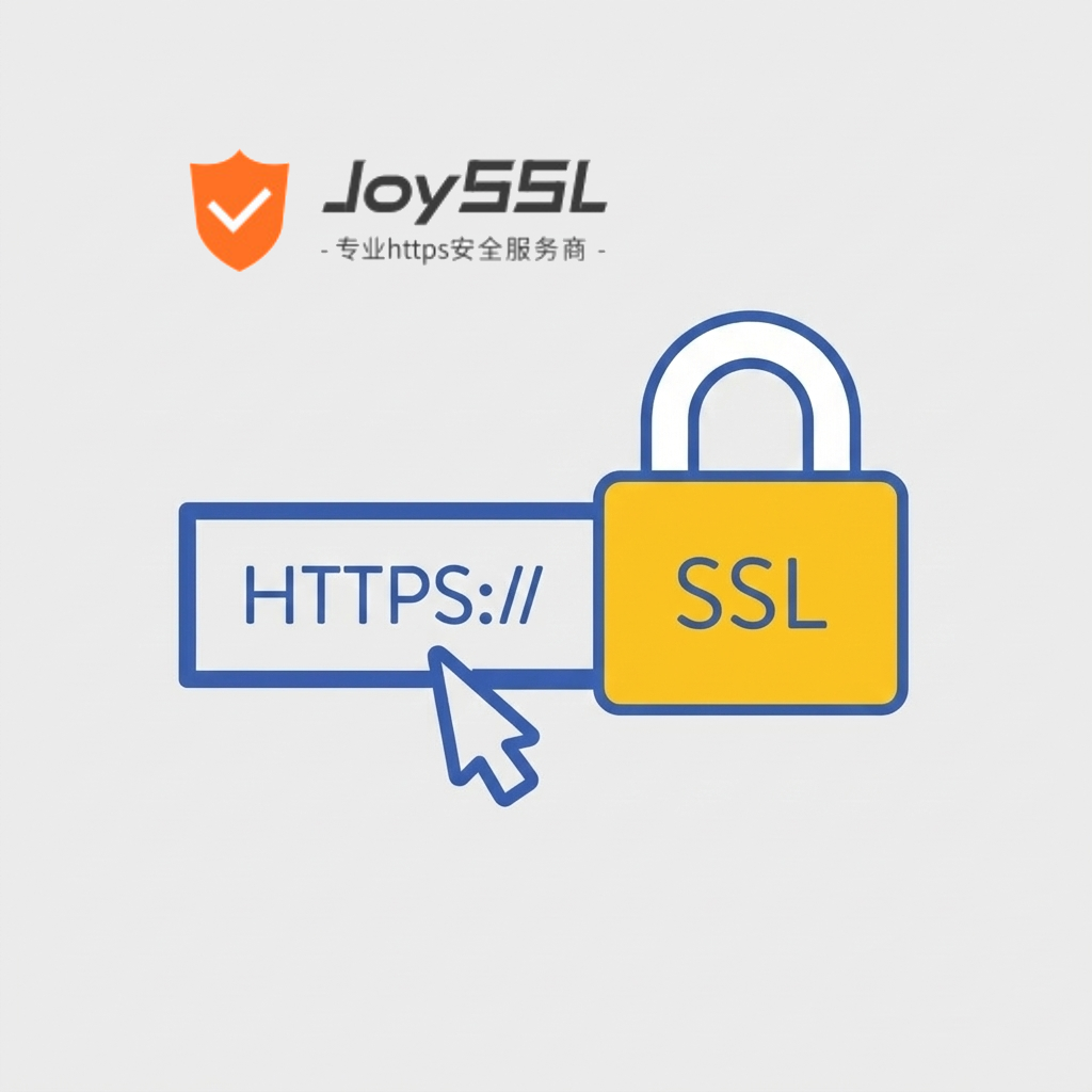 JoySSL 证书